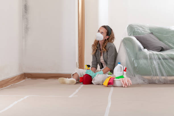 Reliable Mold Remediation contractor in Chanhassen, MN by 24 Hour Mold Removal